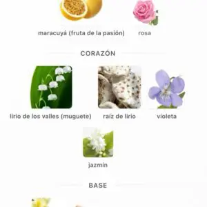 Fayora EDP Paris Corner 100ml - Imagen 5