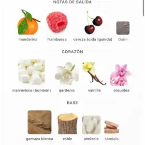 Le Chemau Haya Crush EDP 100ml - Imagen 5
