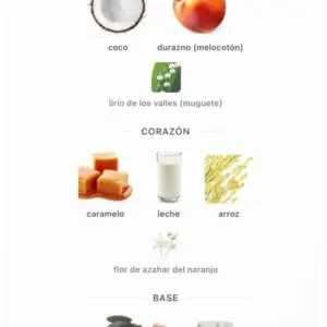 Arabiyat Sugar Matcha Latte Eau de Parfum - Imagen 5