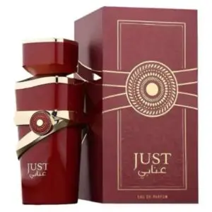 Fragrance World Just Choco / Anabi EDP 100ml - Imagen 2