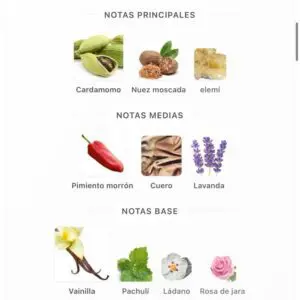 Afnan 9pm Elixir EDP 100ml - Imagen 5