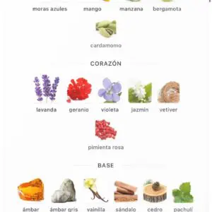 French Avenue Aromatix Frostbite Extrait 100ml - Imagen 5