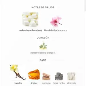 Gelato viva la vida vanilla Amarán EDP - Imagen 6