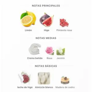 Perseviron Fig Hug EDP Paris Corner – notas de higo, limón y crema batida - Imagen 5