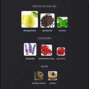 Rayhaan Nocturno Elixir EDP 100ml - Imagen 5
