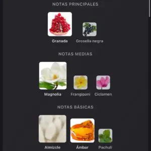 Ithra Dubai Pomegranate Musk – Eau de Parfum 100ml - Imagen 5
