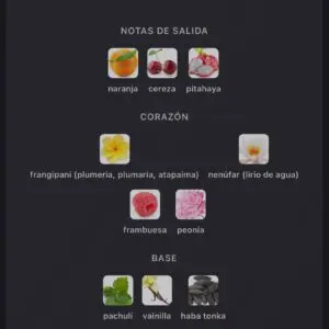 Lattafa Jouri Rose Eau de Parfum perfume árabe mujer