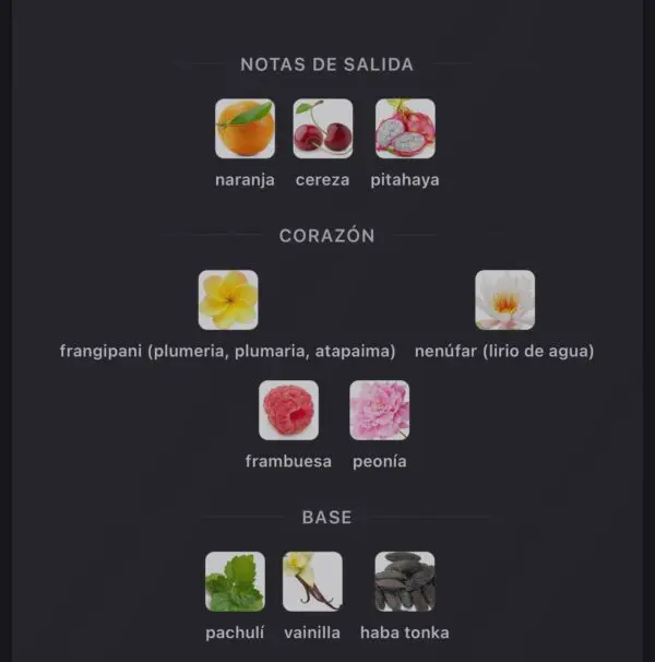 Lattafa Jouri Rose Eau de Parfum perfume árabe mujer